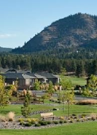 Sonoma Pines